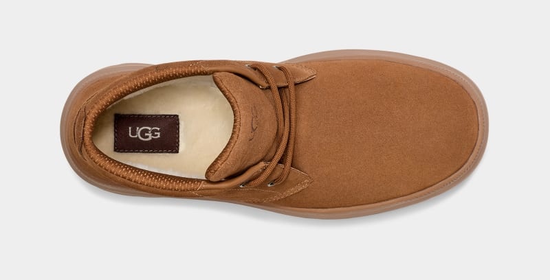 Brown Ugg Burleigh Chukka Men's Sneakers | Saudi Arabia-3751046