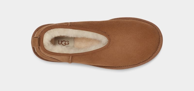 Brown Ugg Classic Micro Mini Women's Boots | Saudi Arabia-6598032