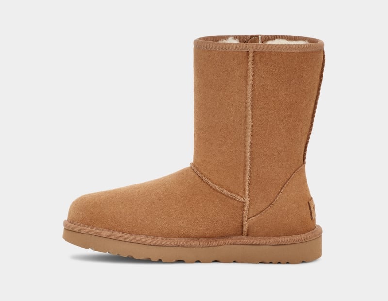 Brown Ugg Classic Short Bailey Zip Women's Boots | Saudi Arabia-6752419