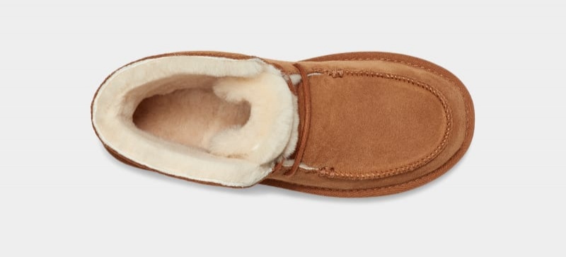 Brown Ugg Diara Women's Boots | Saudi Arabia-3109768