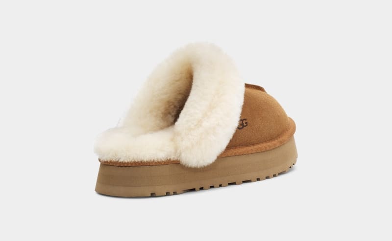 Brown Ugg Disquette Women's Slippers | Saudi Arabia-2914308