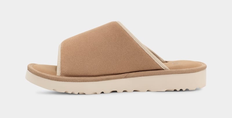 Brown Ugg Goldencoast Men's Slides | Saudi Arabia-5328476