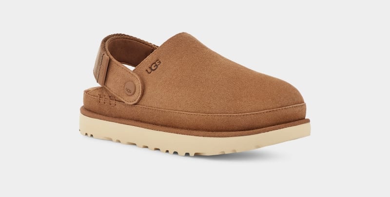 Brown Ugg Goldenstar Women's Clogs | Saudi Arabia-3201946