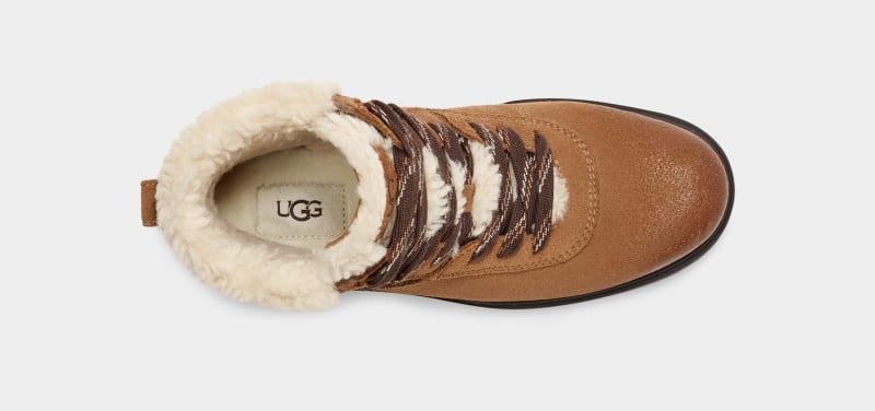 Brown Ugg Harrison Cozy Lace Women's Winter Boots | Saudi Arabia-4673052