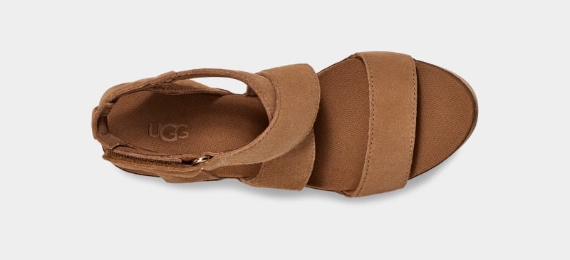 Brown Ugg Ileana Ankle Women's Sandals | Saudi Arabia-7108346