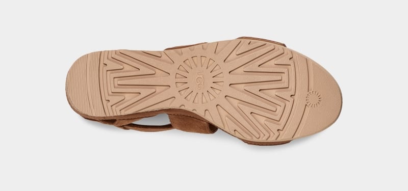 Brown Ugg Ileana Ankle Women's Sandals | Saudi Arabia-7108346