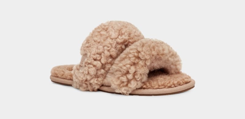 Brown Ugg Maxi Curly Scuffetta Women's Slippers | Saudi Arabia-2485691