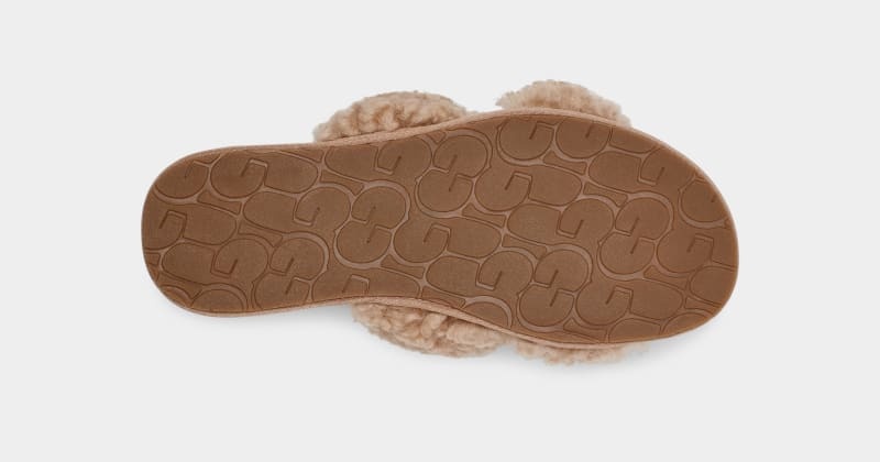 Brown Ugg Maxi Curly Scuffetta Women's Slippers | Saudi Arabia-2485691