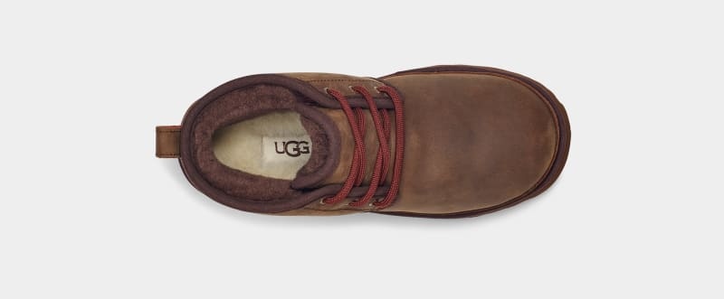 Brown Ugg Neumel Ii Weather Kids' Boots | Saudi Arabia-8250346