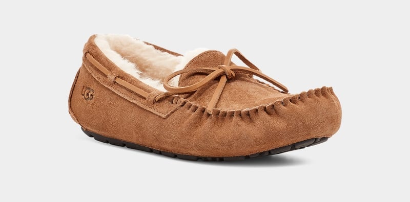 Brown Ugg Olsen Men's Slippers | Saudi Arabia-7195463