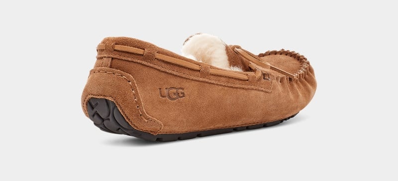 Brown Ugg Olsen Men's Slippers | Saudi Arabia-7195463