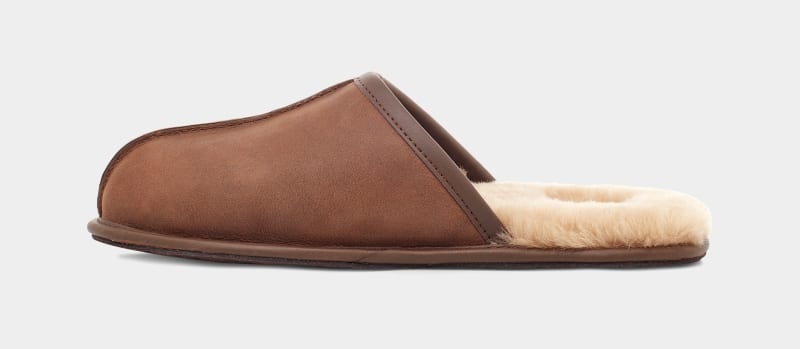 Brown Ugg Scuff Leather Men's Slippers | Saudi Arabia-0368514