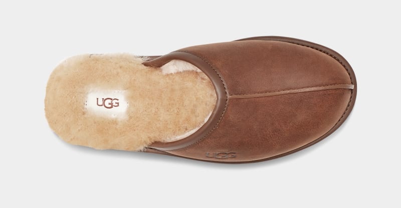 Brown Ugg Scuff Leather Men's Slippers | Saudi Arabia-0368514