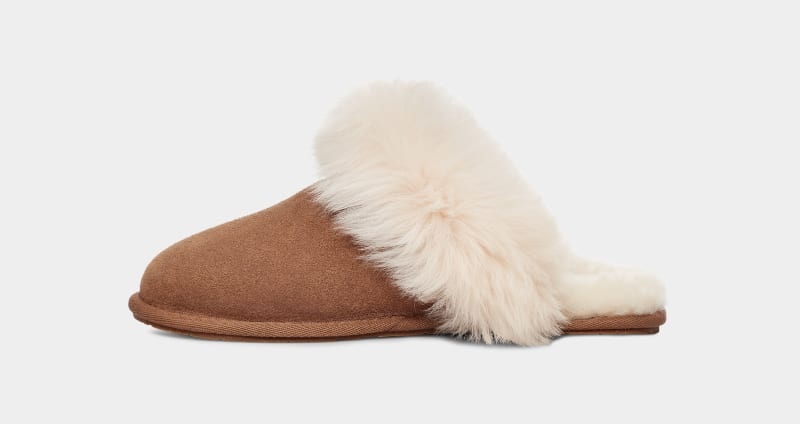 Brown Ugg Scuff Sis Women's Slippers | Saudi Arabia-5714683