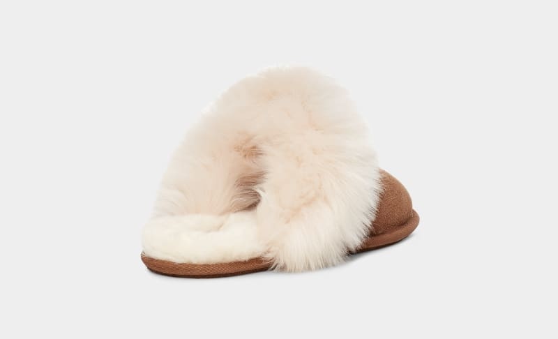 Brown Ugg Scuff Sis Women's Slippers | Saudi Arabia-5714683