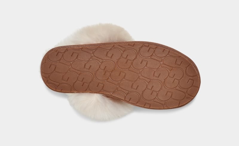 Brown Ugg Scuff Sis Women's Slippers | Saudi Arabia-5714683