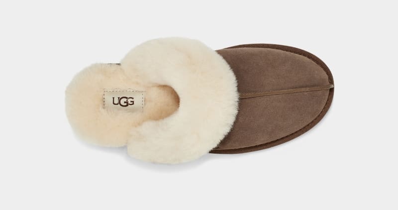 Brown Ugg Scuffette Ii Women's Slippers | Saudi Arabia-9274108