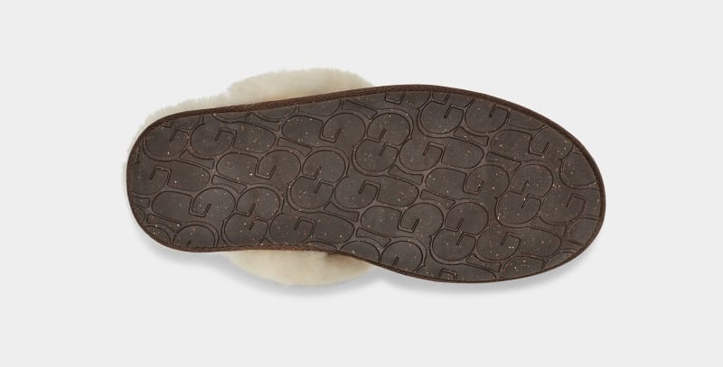 Brown Ugg Scuffette Ii Women's Slippers | Saudi Arabia-9274108