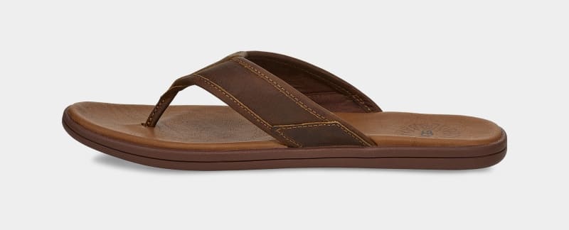 Brown Ugg Seaside Leather Men's Flip Flops | Saudi Arabia-5194630