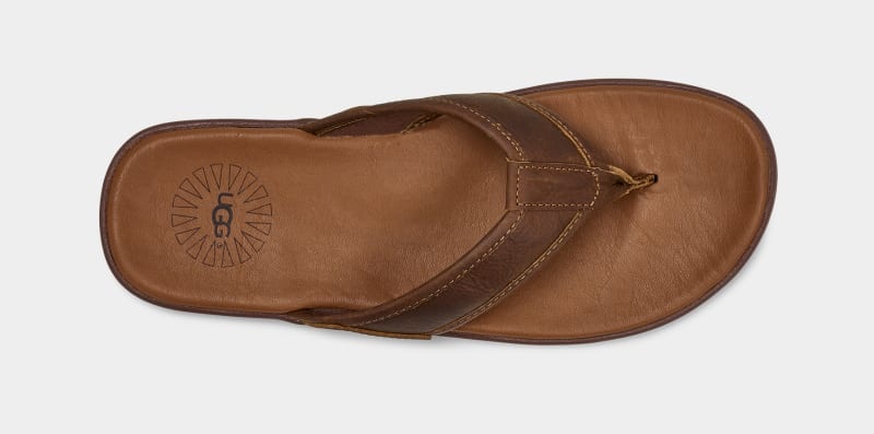 Brown Ugg Seaside Leather Men's Flip Flops | Saudi Arabia-5194630