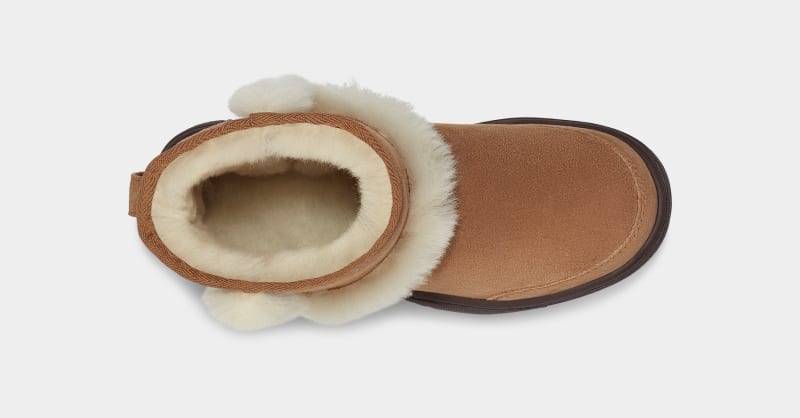 Brown Ugg Sunburst Mini Women's Winter Boots | Saudi Arabia-4391076