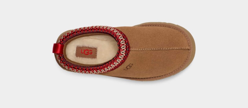 Brown Ugg Tazz Kids' Slippers | Saudi Arabia-0215734