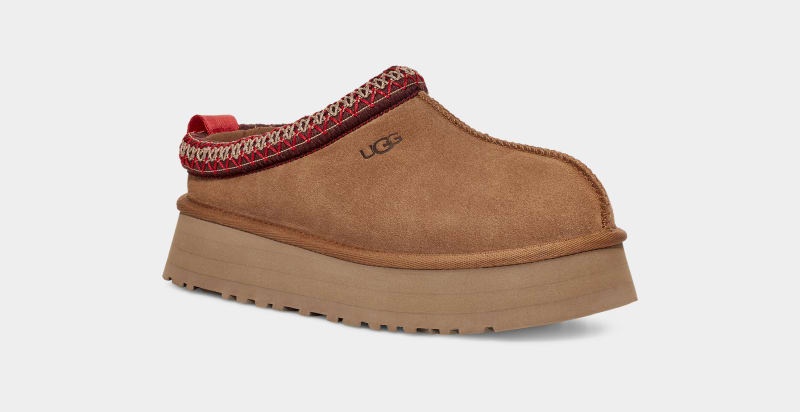 Brown Ugg Tazz Women's Clogs | Saudi Arabia-9123068