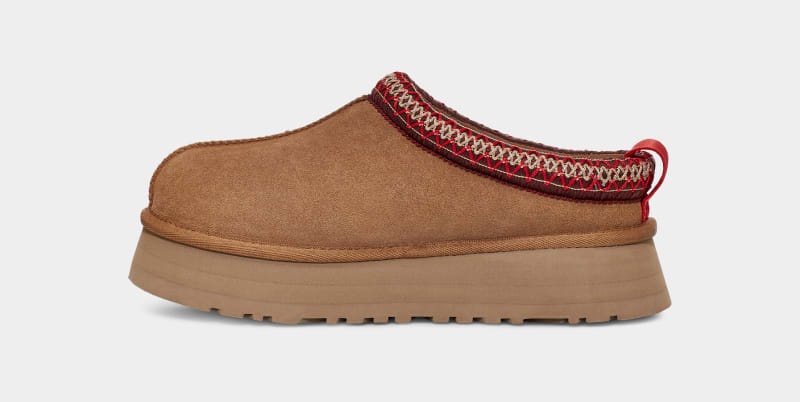 Brown Ugg Tazz Women's Clogs | Saudi Arabia-9123068