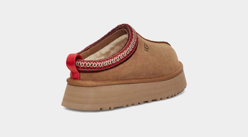 Brown Ugg Tazz Women's Clogs | Saudi Arabia-9123068