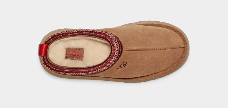 Brown Ugg Tazz Women's Clogs | Saudi Arabia-9123068