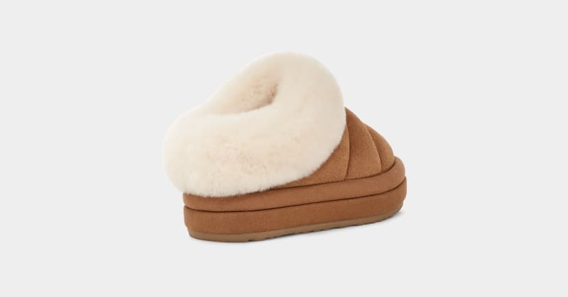 Brown Ugg Tazzlita Kids' Slippers | Saudi Arabia-7862391