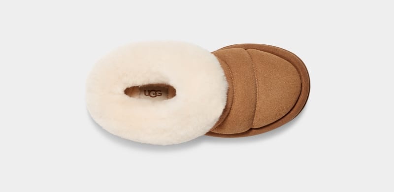 Brown Ugg Tazzlita Kids' Slippers | Saudi Arabia-7862391