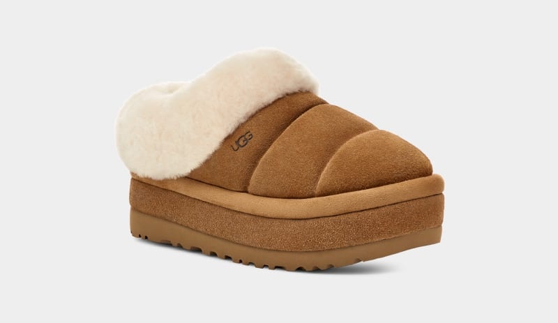 Brown Ugg Tazzlita Women's Clogs | Saudi Arabia-3654912