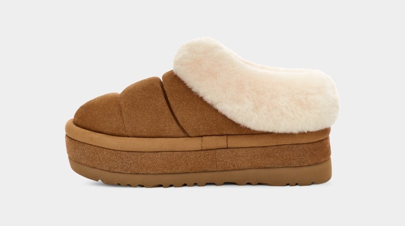 Brown Ugg Tazzlita Women's Clogs | Saudi Arabia-3654912