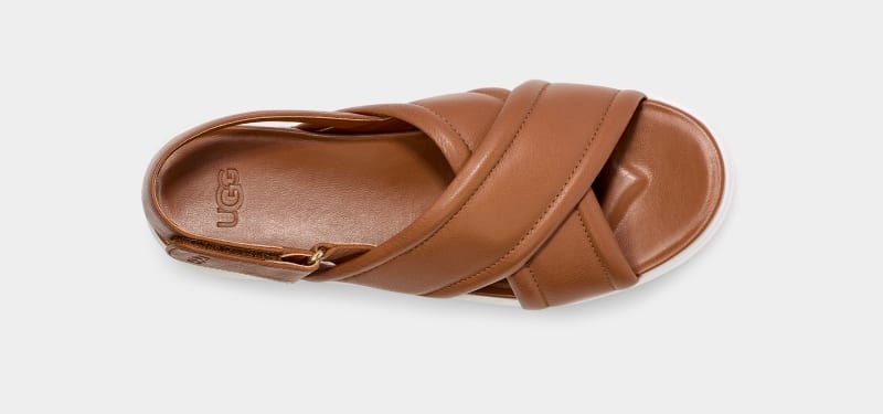 Brown Ugg Zayne Women's Slingback | Saudi Arabia-7401265