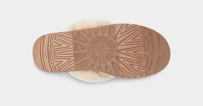 Cream Ugg Cozy Women's Slippers | Saudi Arabia-1374528