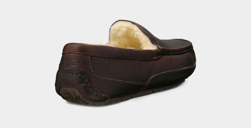 Dark Brown Ugg Ascot Leather Men's Slippers | Saudi Arabia-6135907