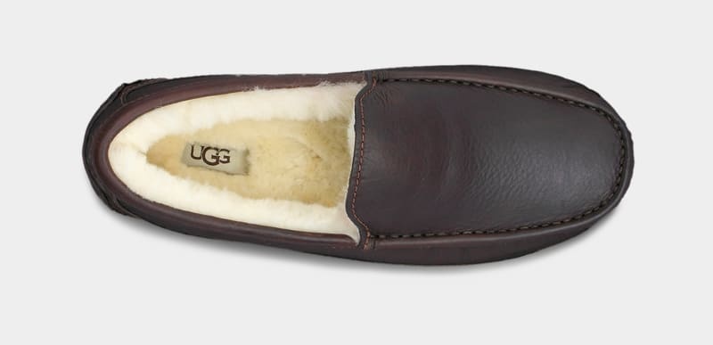 Dark Brown Ugg Ascot Leather Men's Slippers | Saudi Arabia-6135907