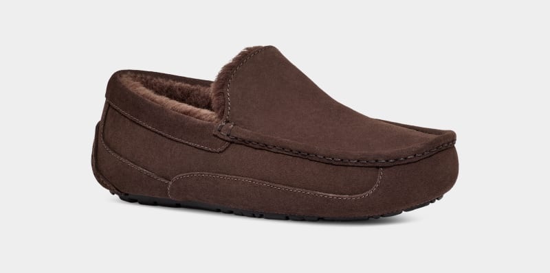 Deep Brown Ugg Ascot Men's Slippers | Saudi Arabia-7109824