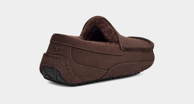 Deep Brown Ugg Ascot Men's Slippers | Saudi Arabia-7109824