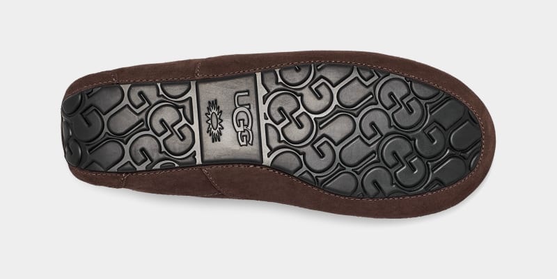 Deep Brown Ugg Ascot Men's Slippers | Saudi Arabia-7109824