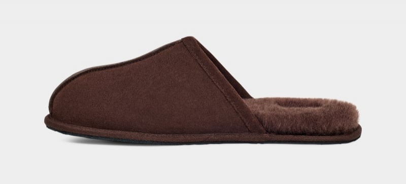 Deep Brown Ugg Scuff Men's Slippers | Saudi Arabia-8524139