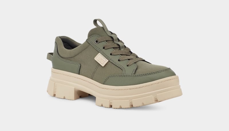 Green Ugg Ashton Hybrid Women's Sneakers | Saudi Arabia-0741283