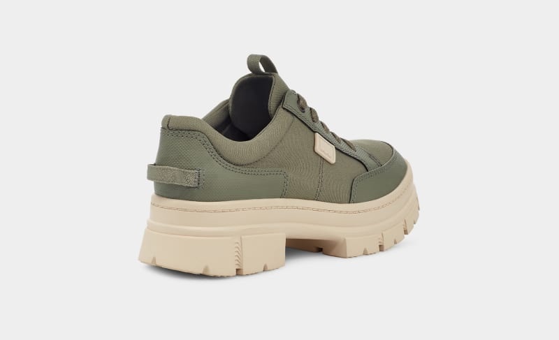 Green Ugg Ashton Hybrid Women's Sneakers | Saudi Arabia-0741283