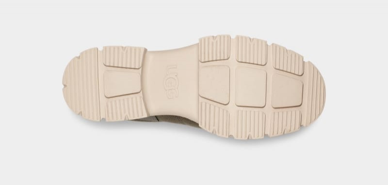 Green Ugg Ashton Hybrid Women's Sneakers | Saudi Arabia-0741283