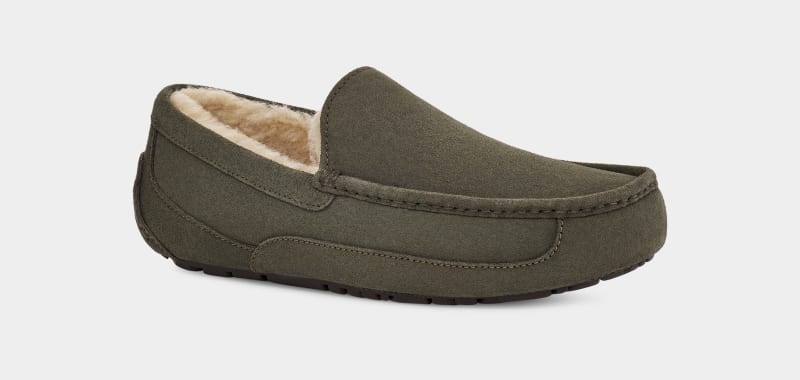 Khaki Ugg Ascot Men's Slippers | Saudi Arabia-4130258