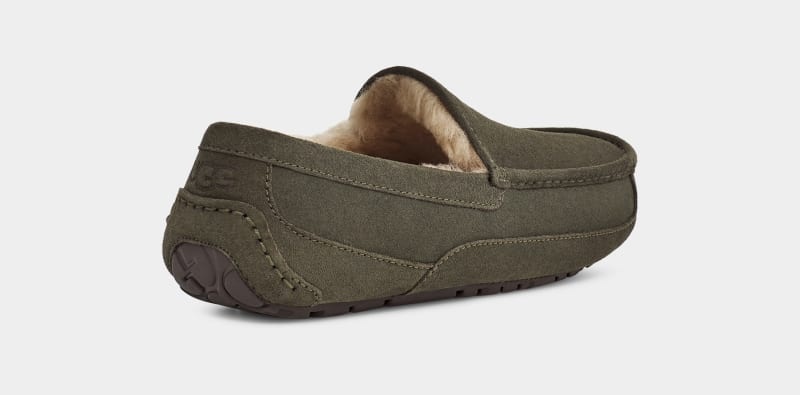 Khaki Ugg Ascot Men's Slippers | Saudi Arabia-4130258