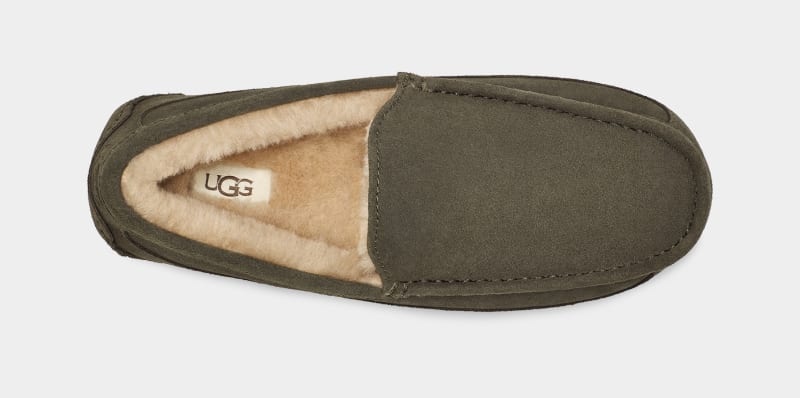 Khaki Ugg Ascot Men's Slippers | Saudi Arabia-4130258