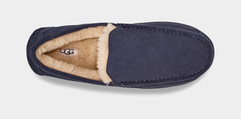 Navy Ugg Ascot Men's Slippers | Saudi Arabia-1769340