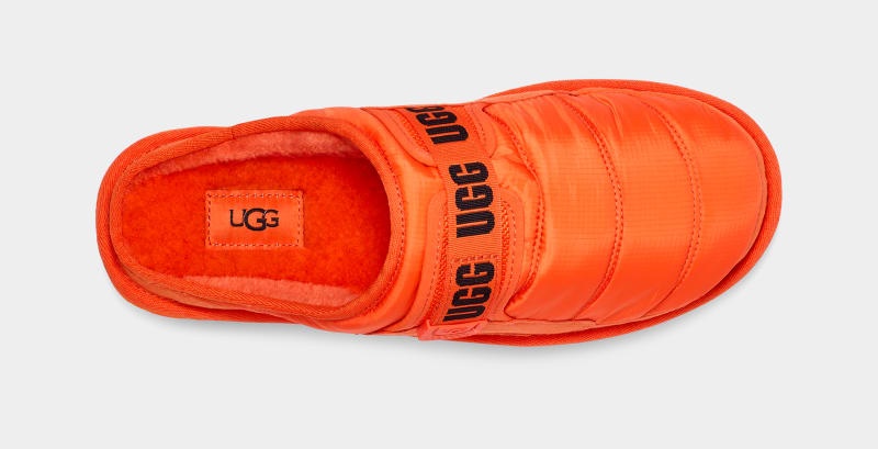 Orange Ugg Dune Slip-On Lta Men's Slippers | Saudi Arabia-8054793